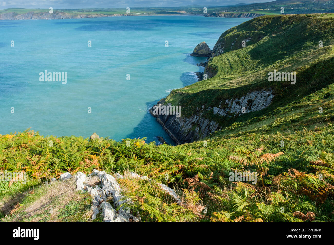 Auf der Suche Richtung Newport von Dinas Kopf, in der Nähe von Fishguard, Pembrokeshire, Wales Stockfoto