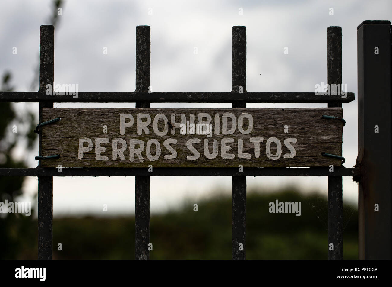 Das Verbot der Hundeleine in der spanischen Sprache zu lösen Stockfoto