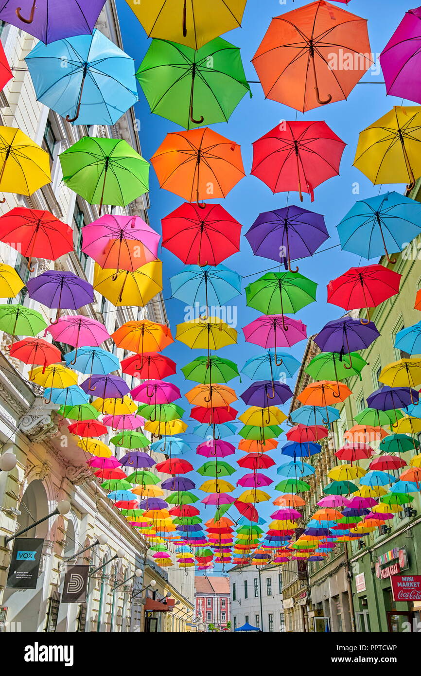 Straße mit farbigen Schirme Dekoration, Timisoara, Rumänien Stockfoto