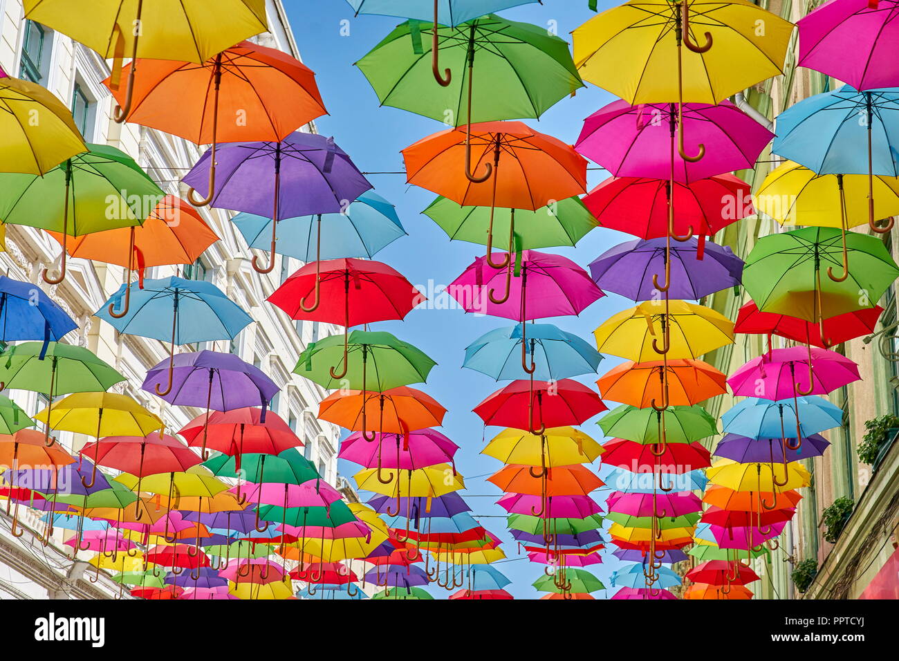 Straße mit farbigen Schirme Dekoration, Timisoara, Rumänien Stockfoto