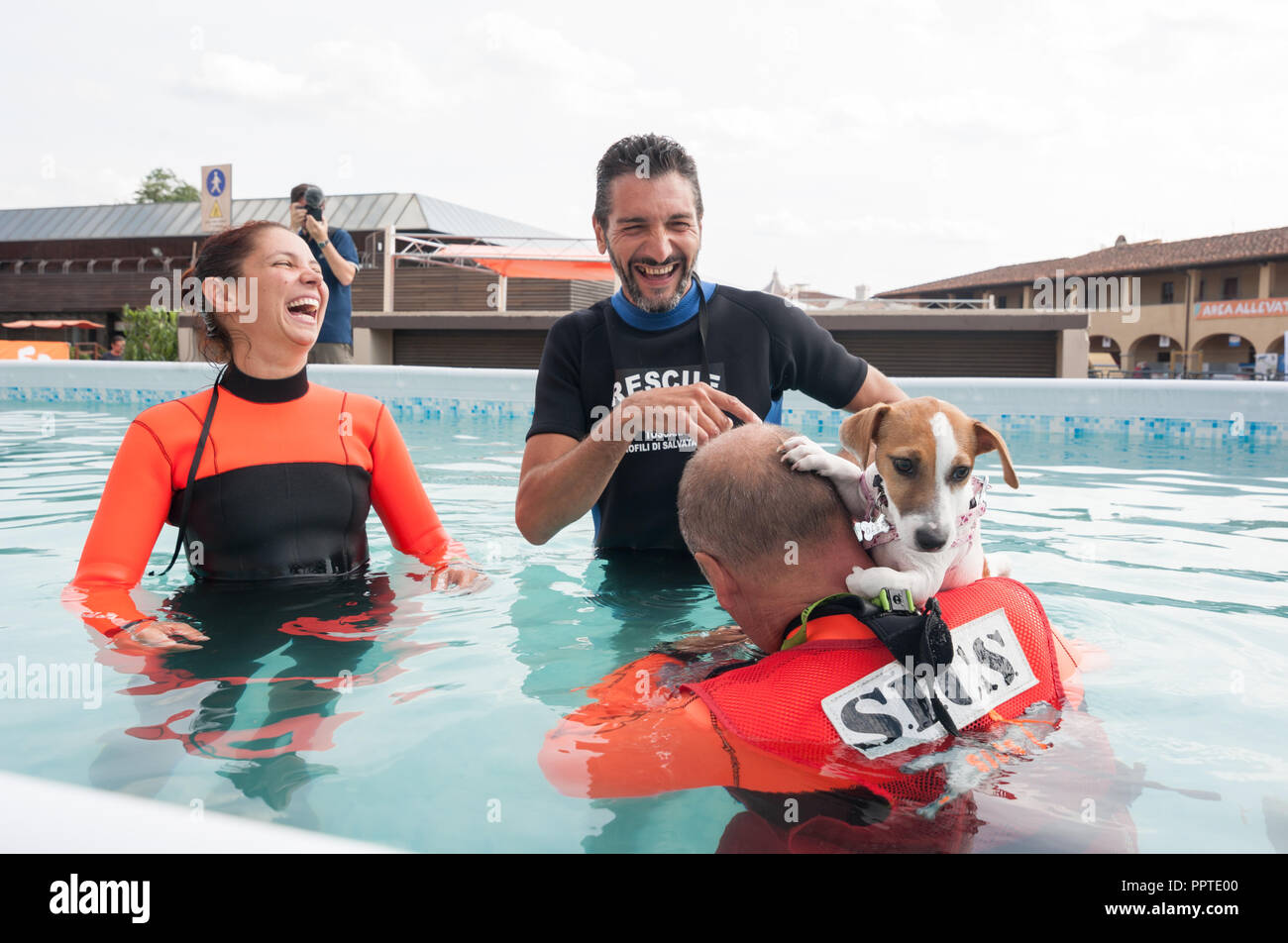 Florenz, Italien - 2018, 22. September: Hundetrainer am Pool, während der Hund schwimmen zu lehren, bei "Ihrem Haustier" Expo 2018 folgen. Stockfoto