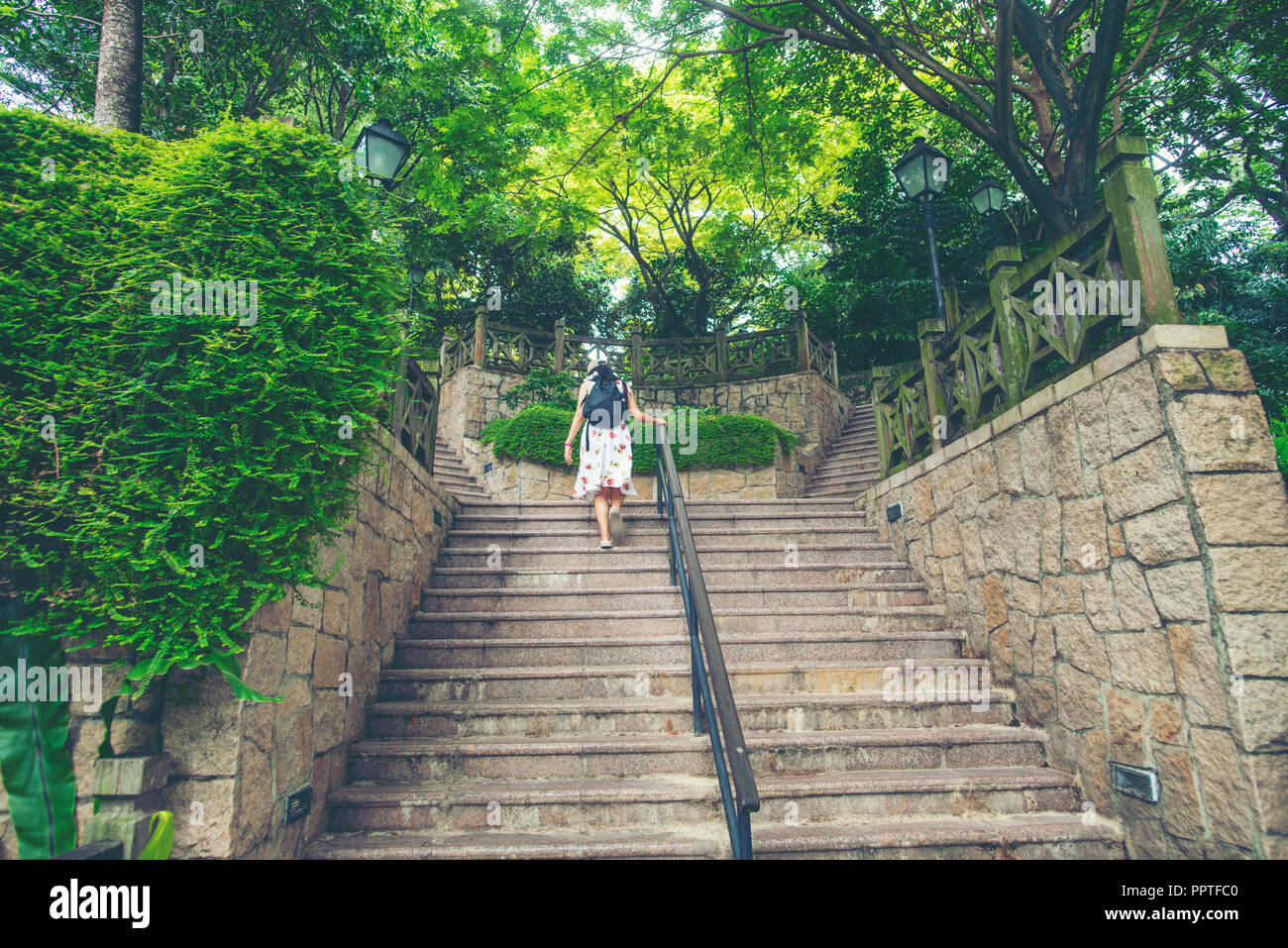 Von Bäumen gesäumten Ziegelstein Weg durch den Wald an der Fort Canning Park, einer der Singapur öffentliche Grünflächen. Stockfoto