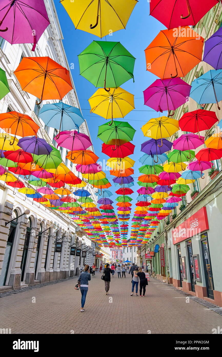 Stadt Straße mit farbigen Schirme Dekoration, Timisoara, Rumänien Stockfoto