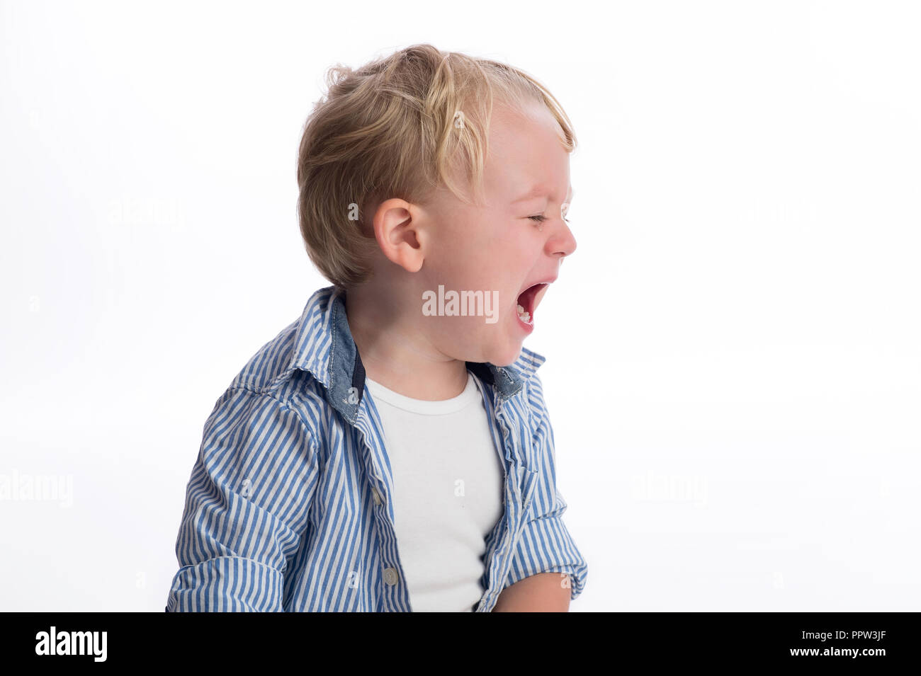 Anzeigen eines Profils eines zwei Jahre alten Jungen weinen. Im Studio auf einem weißen, nahtlose Kulisse erschossen. Stockfoto