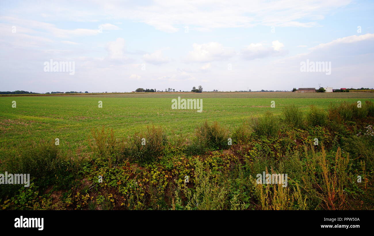 Landwirtschaft In Polen Stockfotos und -bilder Kaufen - Alamy