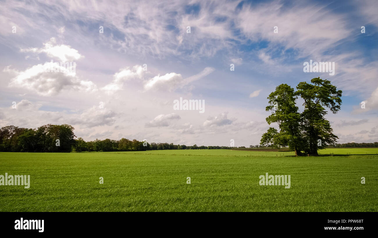 Blick über üppige Felder in der nähe von Delmenhorst in der Region Twente (Provinz Overijssel, Niederlande). Diese Region hat eine Menge diese Landschaften Stockfoto