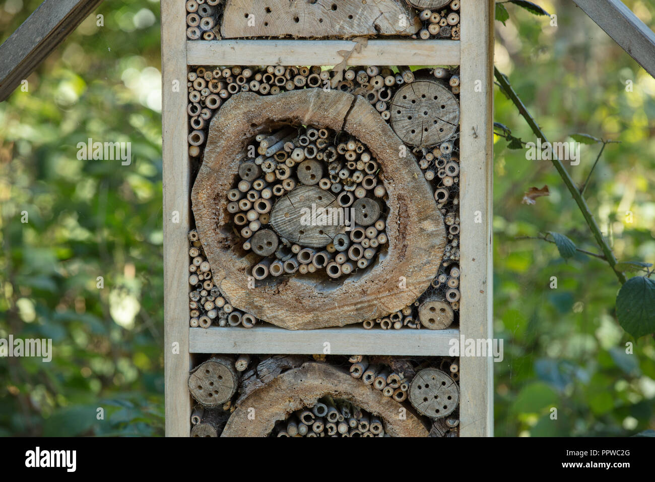 Starke Holzkisten mit Dächern und mit Bambus, Holz, Hackschnitzel und Steine Schutz und sichere Bereiche für solitäre Insekten zu erstellen. Stockfoto