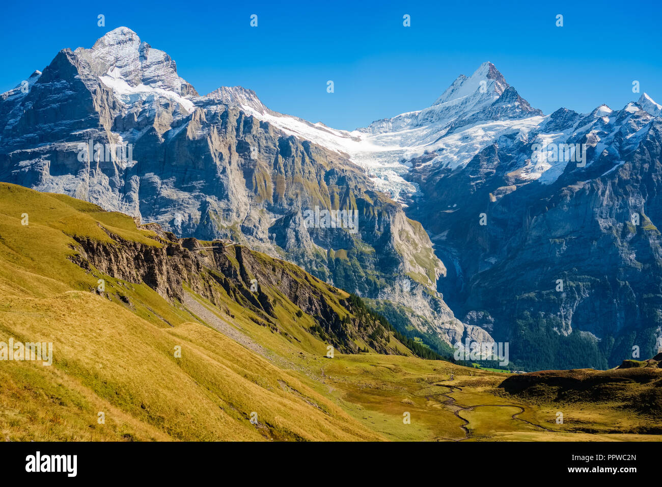 Wunderschöne Landschaften während der berühmten Wanderweg vom Ersten in Grindelwald (Berner Oberland, Schweiz). Stockfoto