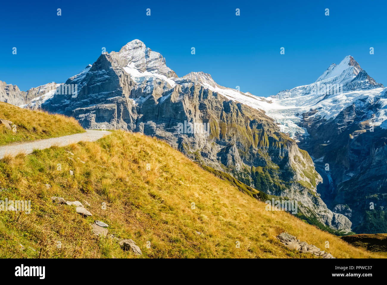 Wunderschöne Landschaften während der berühmten Wanderweg vom Ersten in Grindelwald (Berner Oberland, Schweiz). Stockfoto