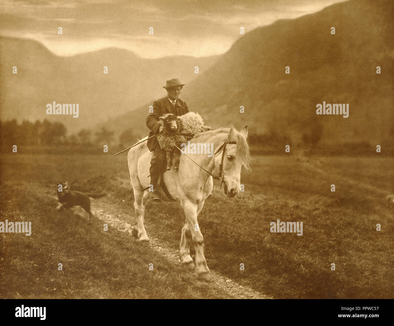 Mann mit Schaf auf Pferderücken; Walmsley Brüder, Englisch, 1894 - 1929, ca. 1890; Co2 drucken; 28,7 x 37,5 cm Stockfoto