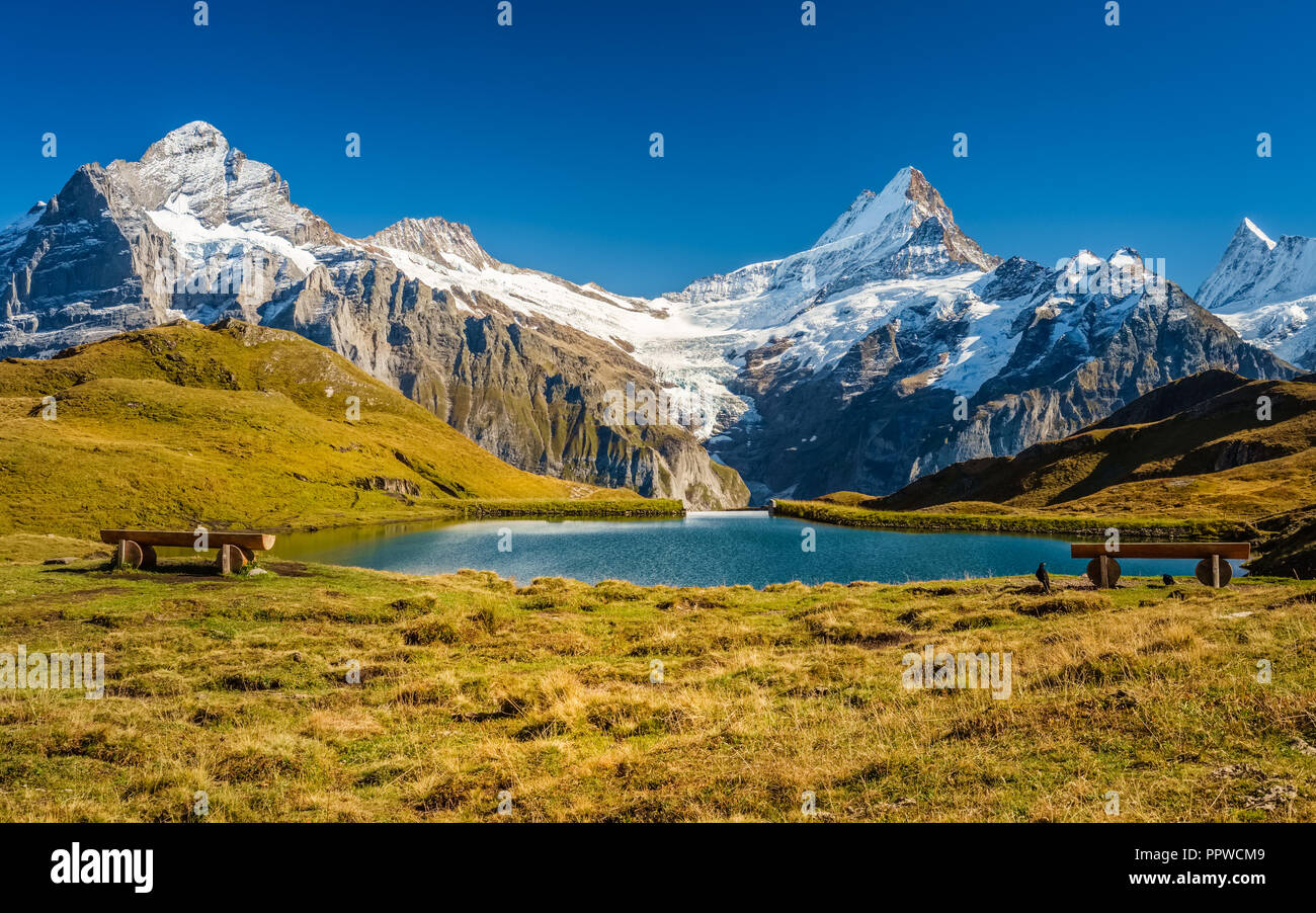 Begegnung mit Bachalpsee während des berühmten Wanderweg vom Ersten in Grindelwald (Berner Oberland, Schweiz). Stockfoto