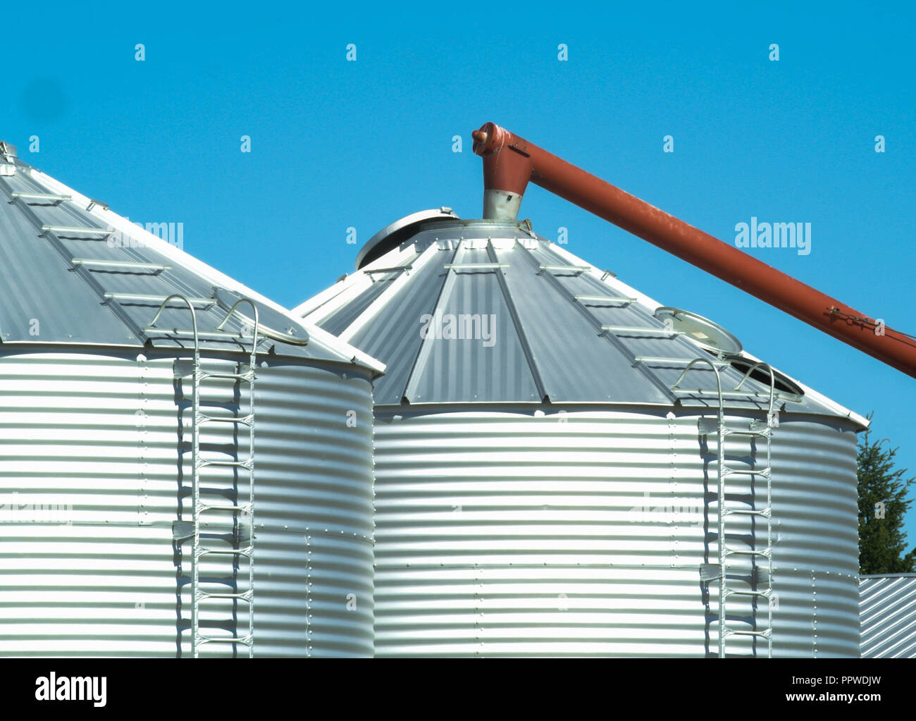 Weizen wird in einem Korn bin gespeichert Stockfoto