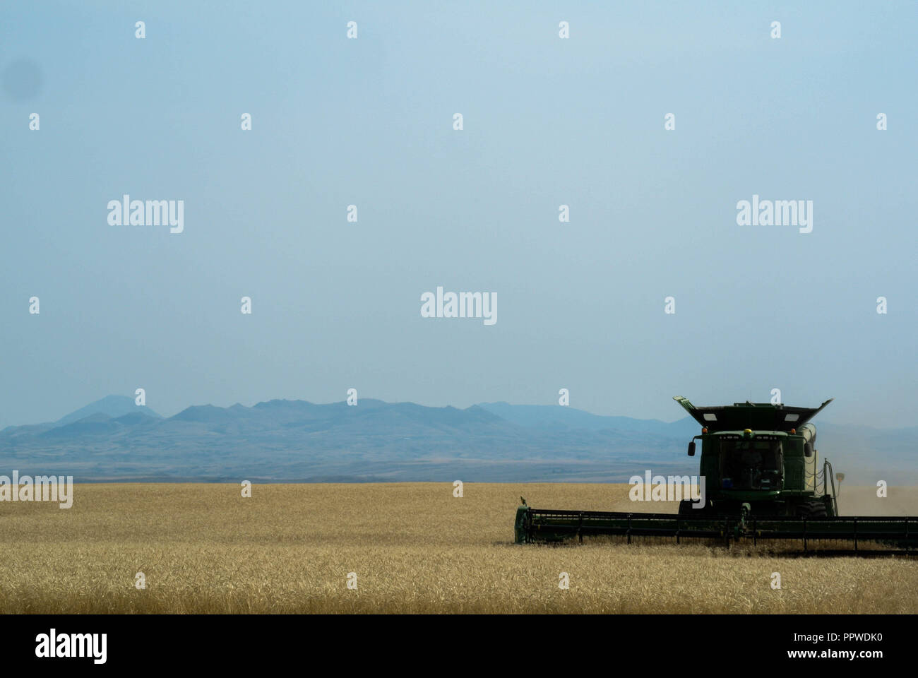 John Deere Mähdrescher schneiden Weizen auf die nördlichen Ebenen Stockfoto