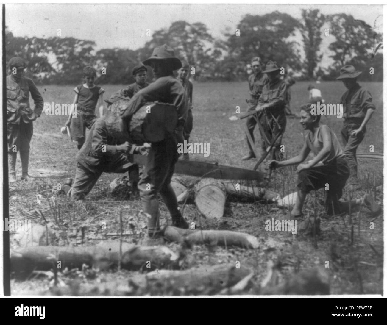 Pfadfinder (New York City) in Hunter's Island - Sägen von Holz Stockfoto