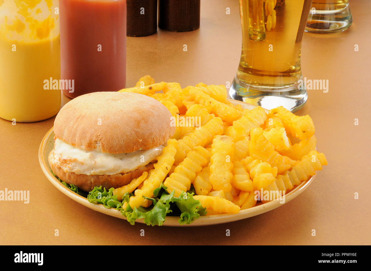 Ein Chicken Burger mit Monterey Jack Käse, Pommes und Bier Stockfoto