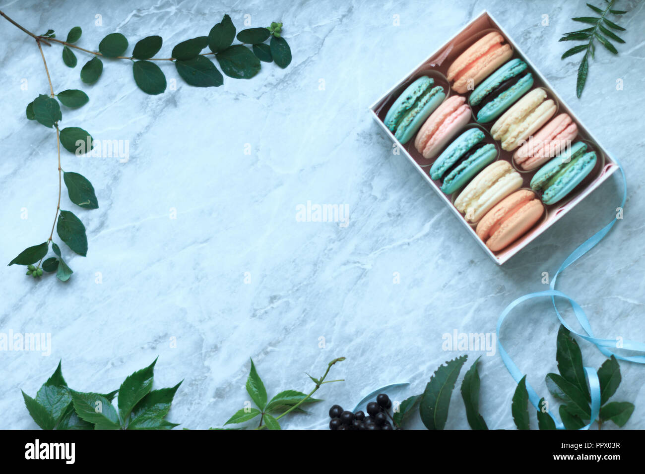 Blätter und Pastell Französische macarons Kuchen auf einem Marmor Oberfläche. Flach Zusammensetzung von oben, Ansicht von oben. Hintergrund mit Platz für Text kopieren Stockfoto