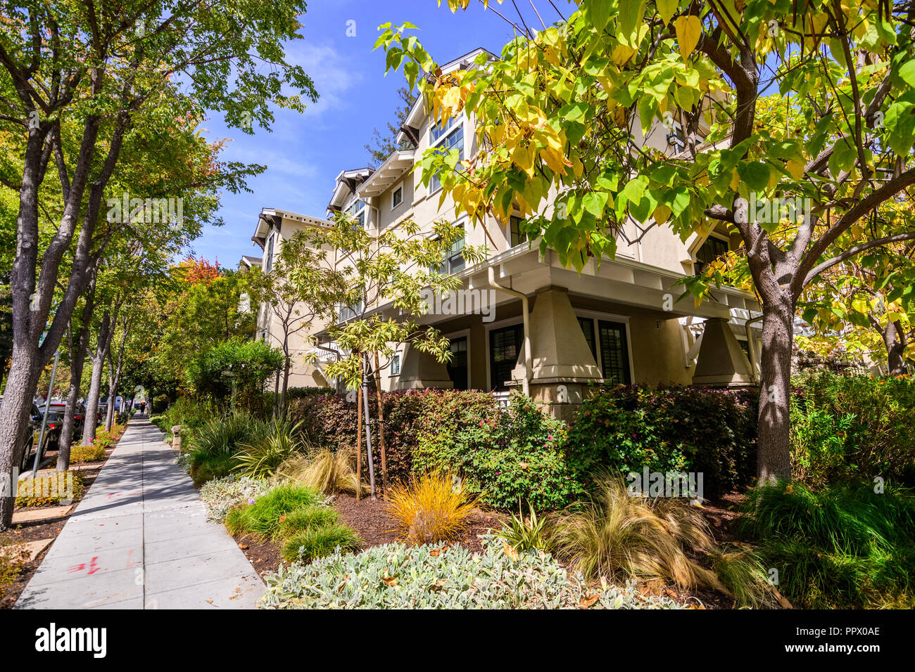 Strasse und Häuser in einem der Wohngebiete von Palo Alto, South San Francisco Bay Area. Stockfoto