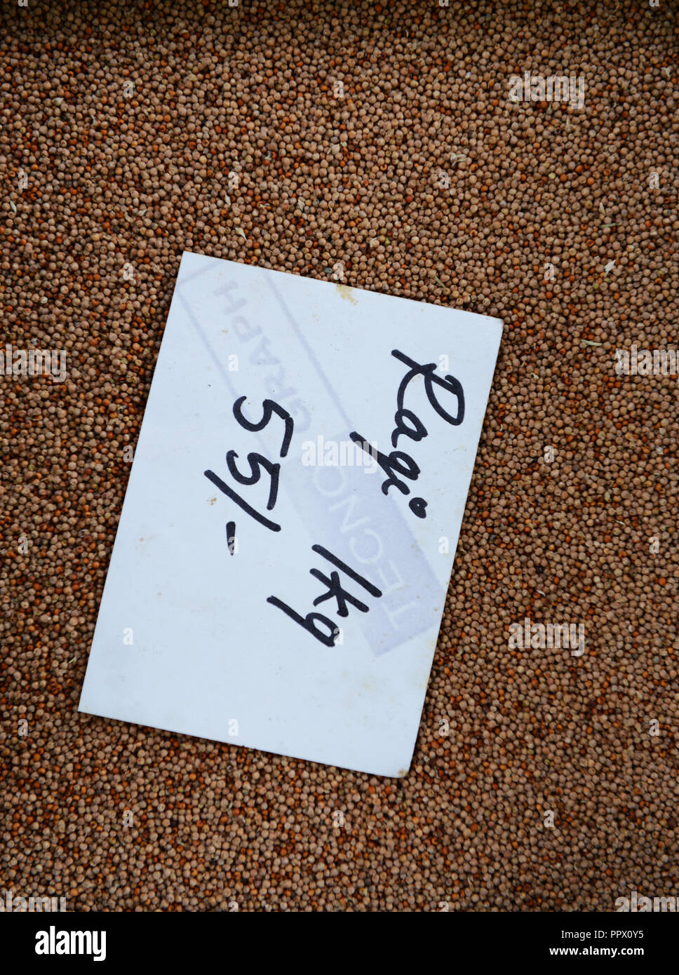 College India Stockfotos College India Bilder Alamy