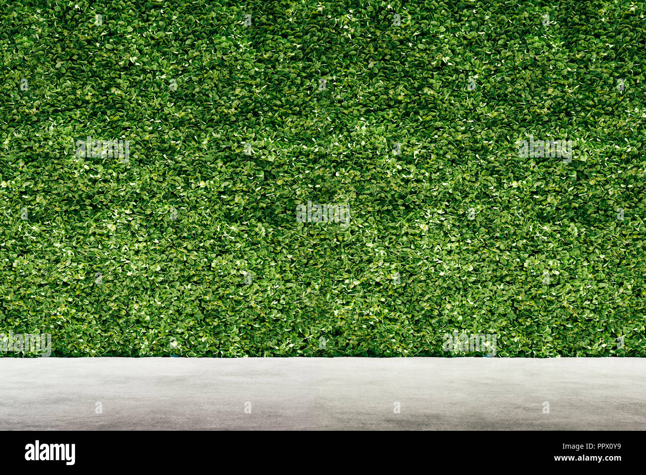 3D-Render von grünen vertikalen Garten, Wand Hintergrund Stockfoto