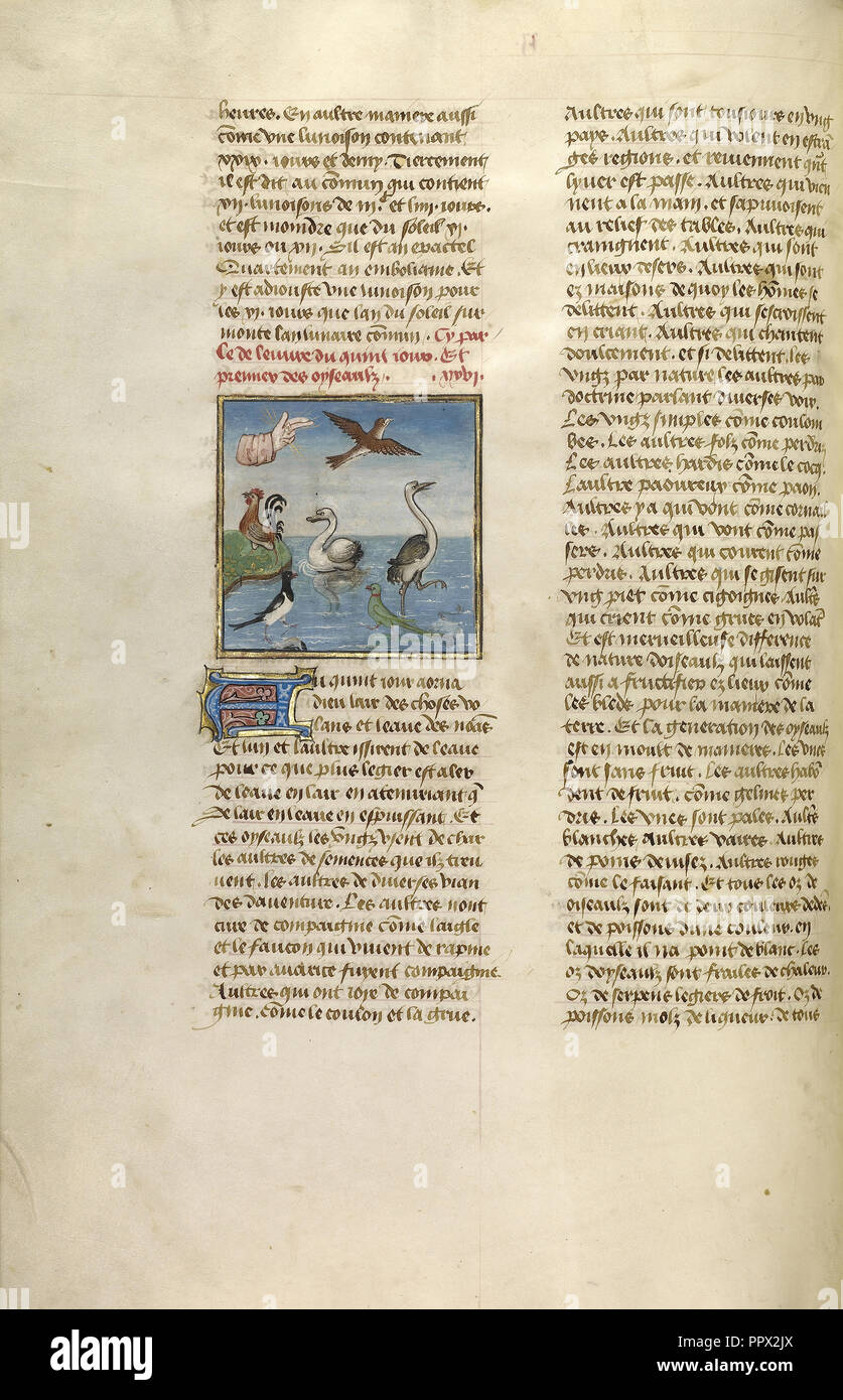 Die Schaffung von Vögeln; Gent, Belgien; über 1475; Tempera Farben, Blattgold und Gold Farbe auf Pergament; Blatt: 43,8 x 30,5 cm Stockfoto