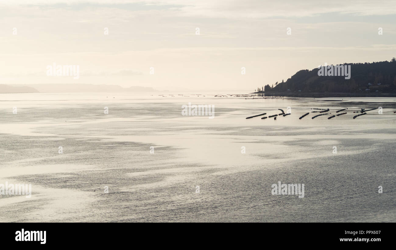 Fischerboote bei Dalcahue auf der Insel Chiloe, Patagonien Stockfoto