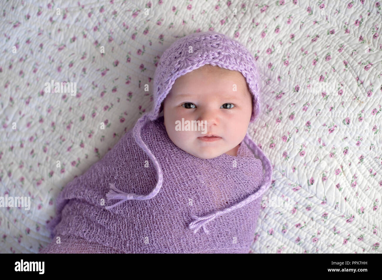 Einen Monat altes Baby Mädchen mit einem Motorhaube und Gepuckte in einem Lavendel Lila wickeln. Stockfoto