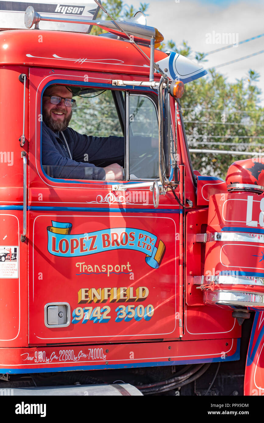 Einen lächelnden Fahrer sitzt in der Kabine der ersten Lopez Bros fleet Truck, 1982 Weiße Straße Boss Prime Mover, die noch im aktiven Dienst ist heute Stockfoto