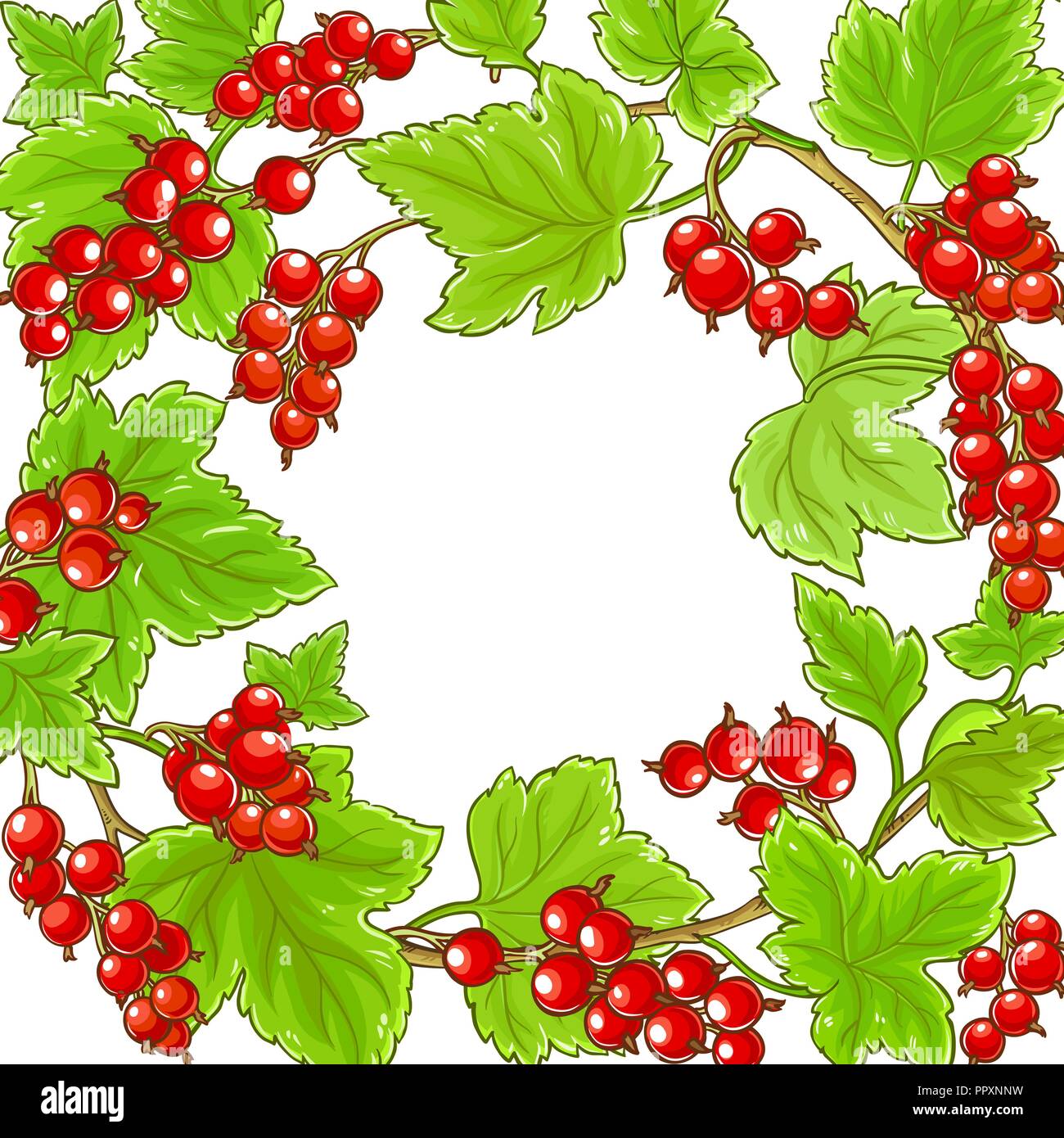 Rote Johannisbeere Frame auf weißem Hintergrund Stock Vektor