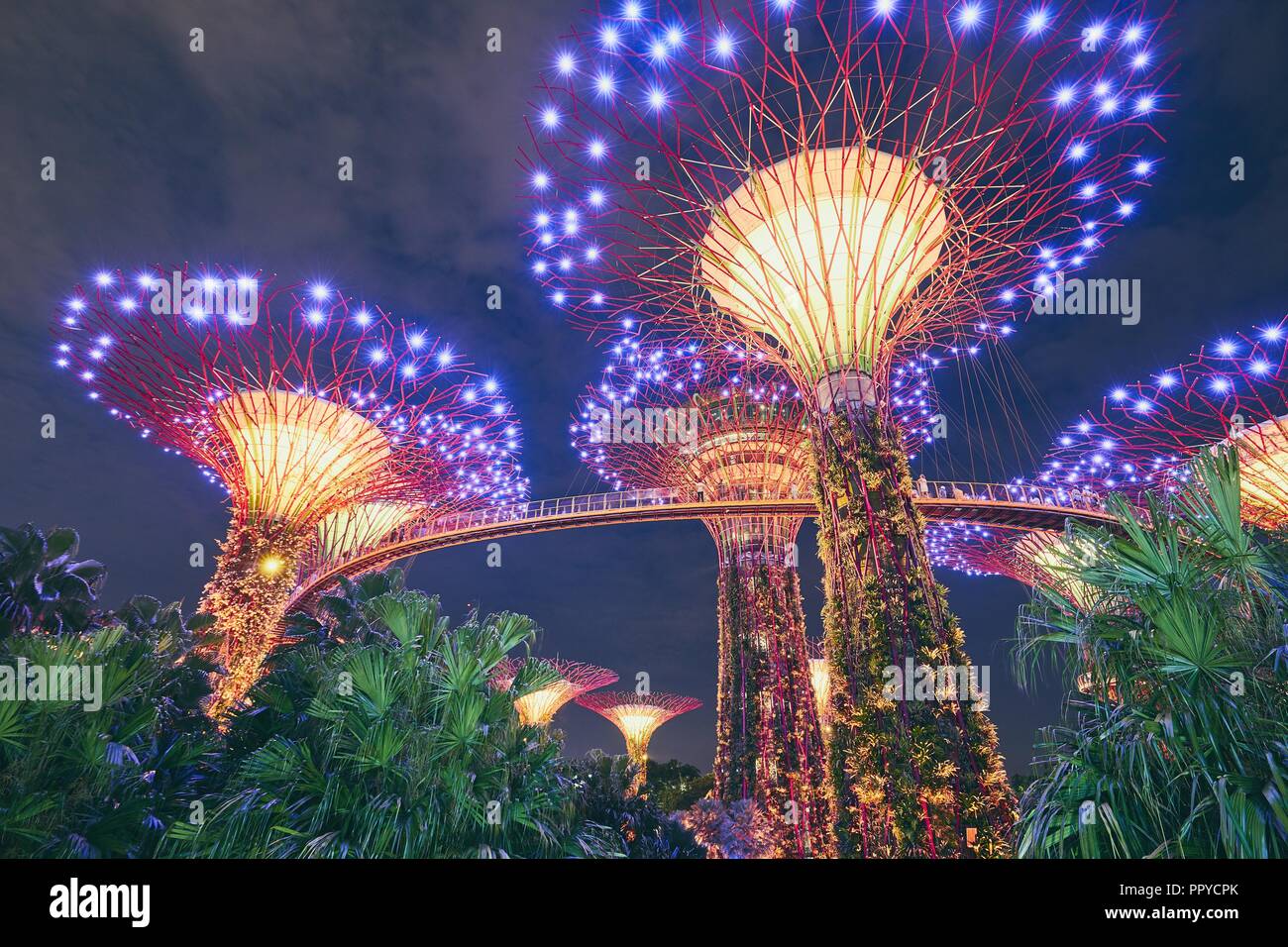 Singapur - September 8, 2018: Night Light Show von Supertree Grove in Gärten durch die Bucht in Singapur am 8. September 2018. Stockfoto
