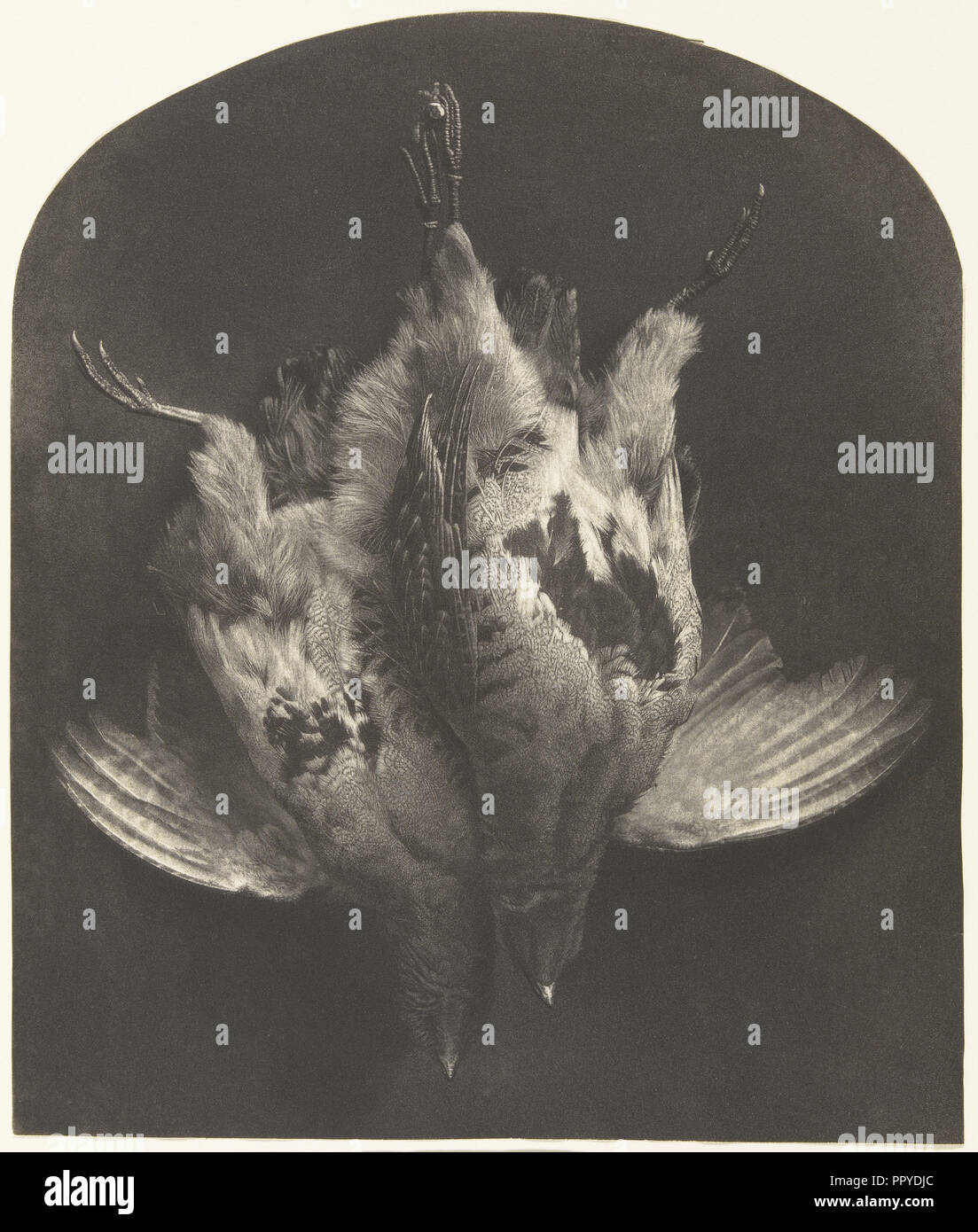 September eine Stütze der Grouse; William See Preis, Britischen, 1810-1896, 1857; Photogalvanograph; 29,2 x 24,4 cm Stockfoto