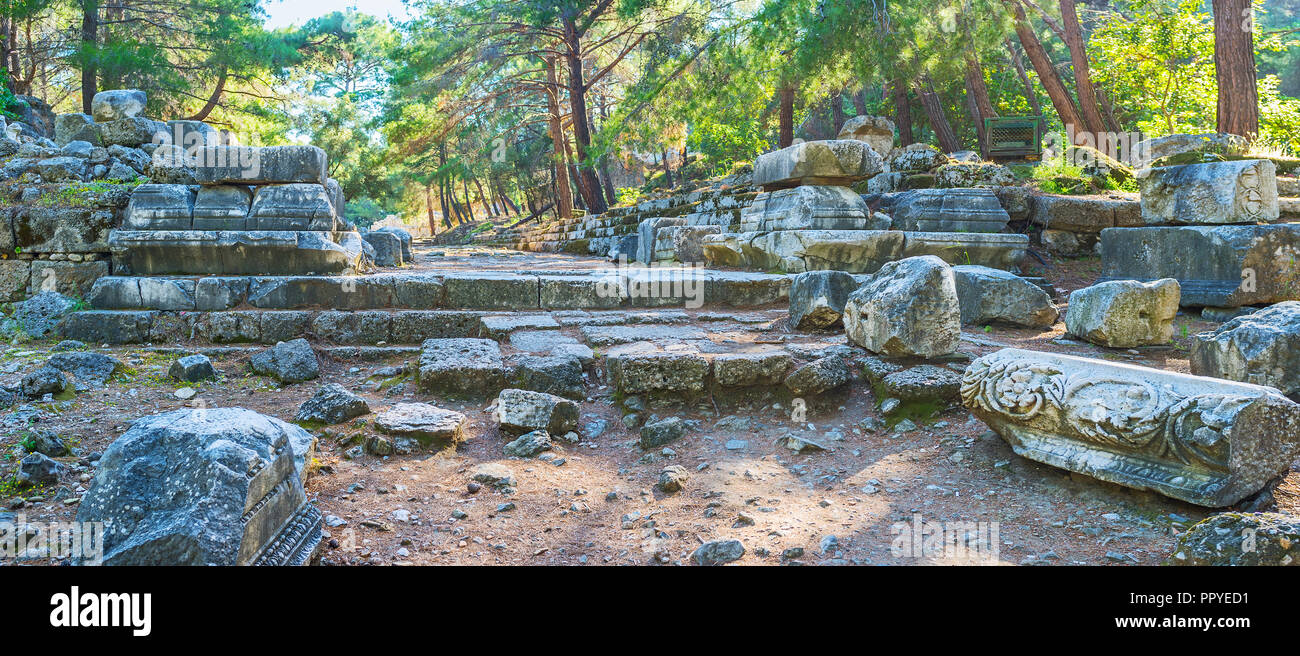 Die Felsbrocken mit erhaltenen Schnitzereien an den Ruinen des antiken Hadrianstor von Phaselis archäologische Stätte, Tekirova, Türkei. Stockfoto