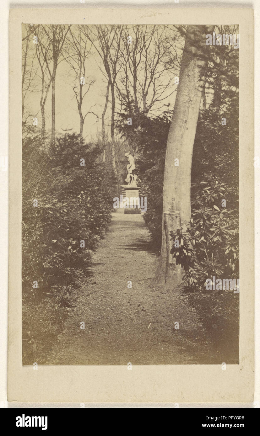 Newstead Abbey. Langer Spaziergang; A.W. & H. Cox; Oktober 24, 1865; Eiklar silber Drucken Stockfoto