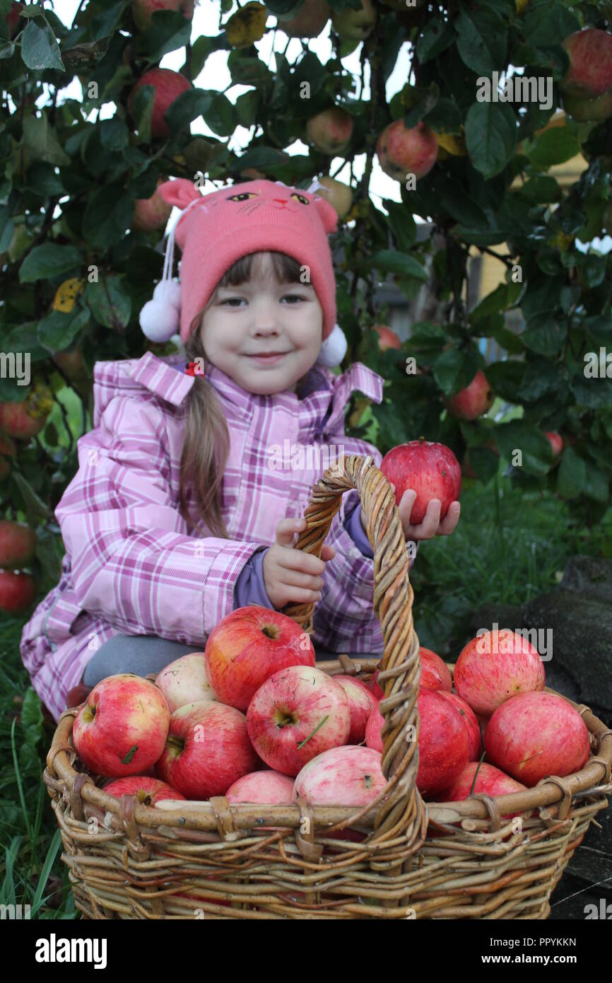 Little Smile Mädchen sitzen mit Korb voller Reife saftig roter Apfel im Herbst Garten Stockfoto