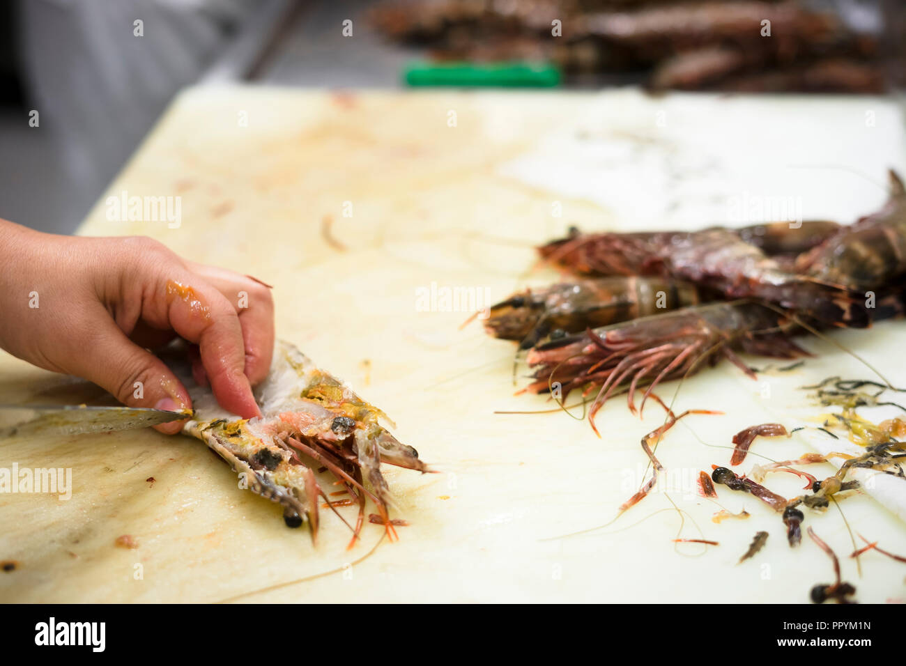 Köche sind Reinigung Tiger Garnelen in der Küche des Restaurant Stockfoto