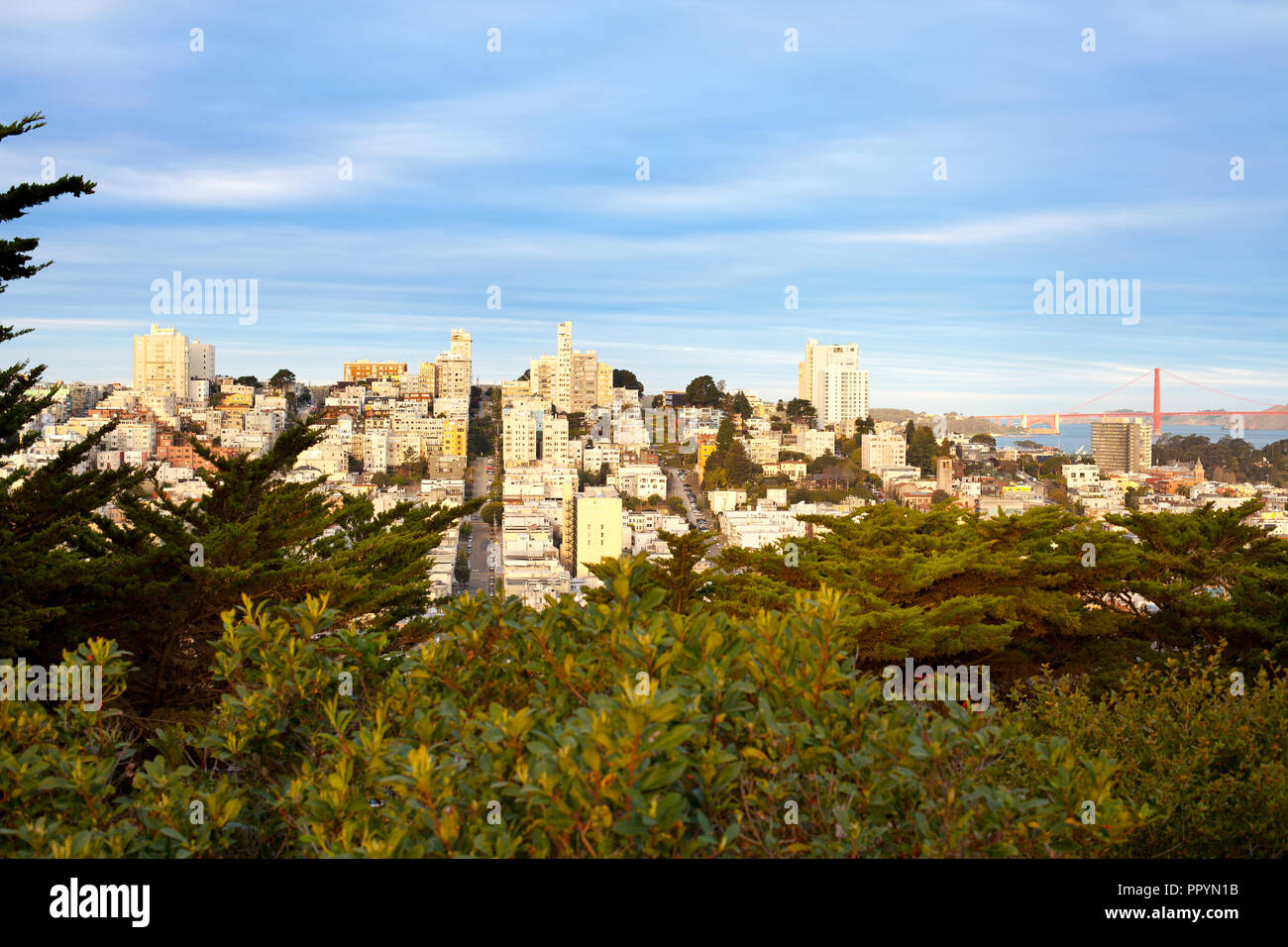 Russian Hill Viertel, San Francisco, Kalifornien, USA Stockfoto