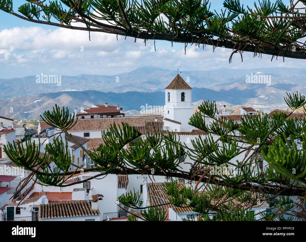 Rote Ziegeldächer der weissen Häuser und Kirche Turm, Canillas de Acientuna, Mudejar route, Axarquia, Andalusien, Spanien Stockfoto