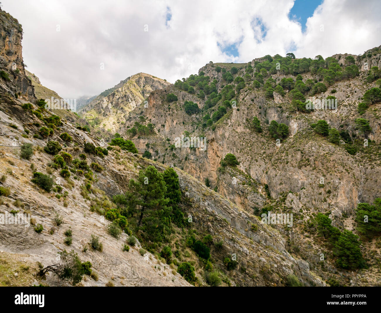 Blick auf das Tal, Sierras de Tejeda Naturpark, Axarquia, Andalusien, Spanien Stockfoto