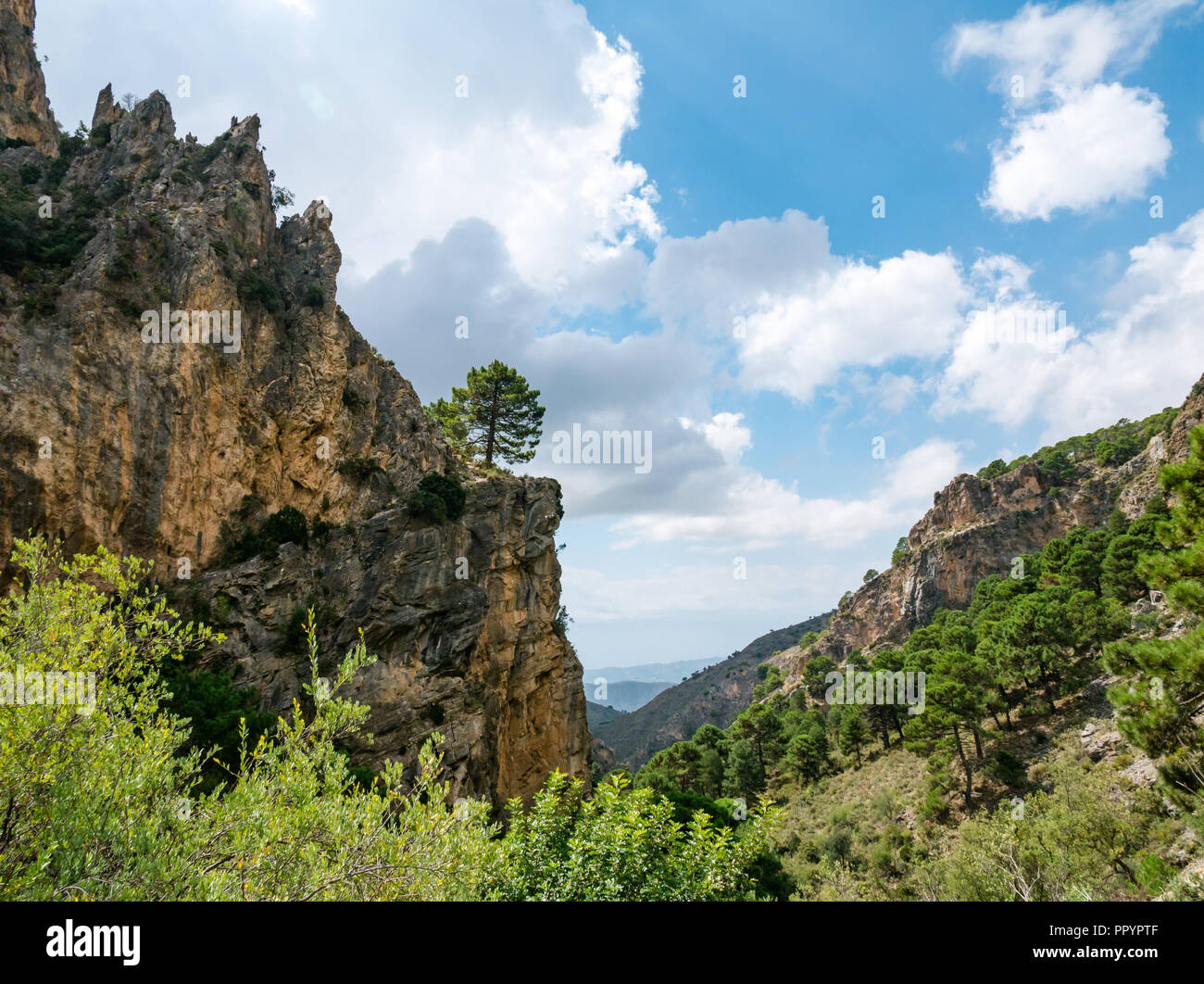 Steilen Schlucht Felsen im Tal Landschaft, Sierras de Tejeda Naturpark, Axarquia, Andalusien, Spanien Stockfoto