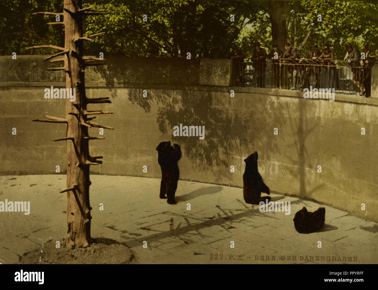 Der barengraben Fotos und Bildmaterial in hoher Auflösung Alamy