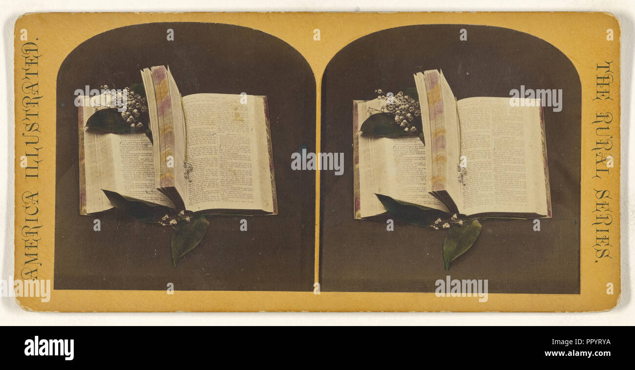 Buch an zwei Stellen, eine mit Buch mark String geöffnet, die andere mit Blumen; Amerikanische; ca. 1870 - 1880; Hand - farbige Eiweiß Stockfoto