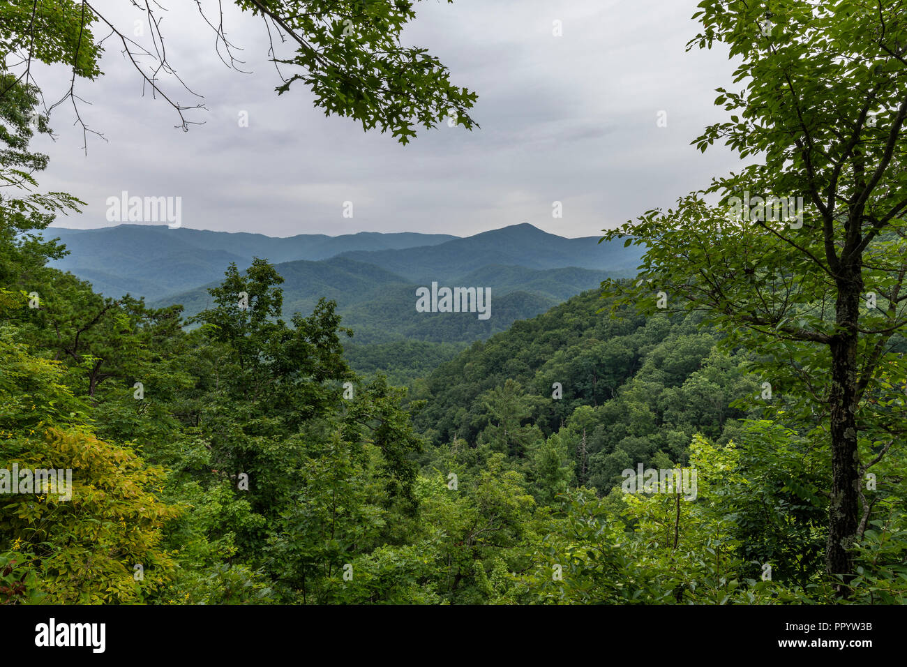 Smoky Mountains malerische Landschaft Stockfoto