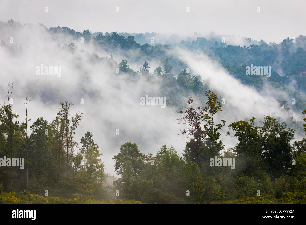 Morgennebel erhebt sich auf diese ländliche Szene. Stockfoto