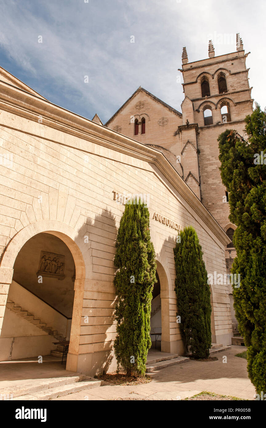 Cathedral saint pierre montpellier Fotos und Bildmaterial in hoher