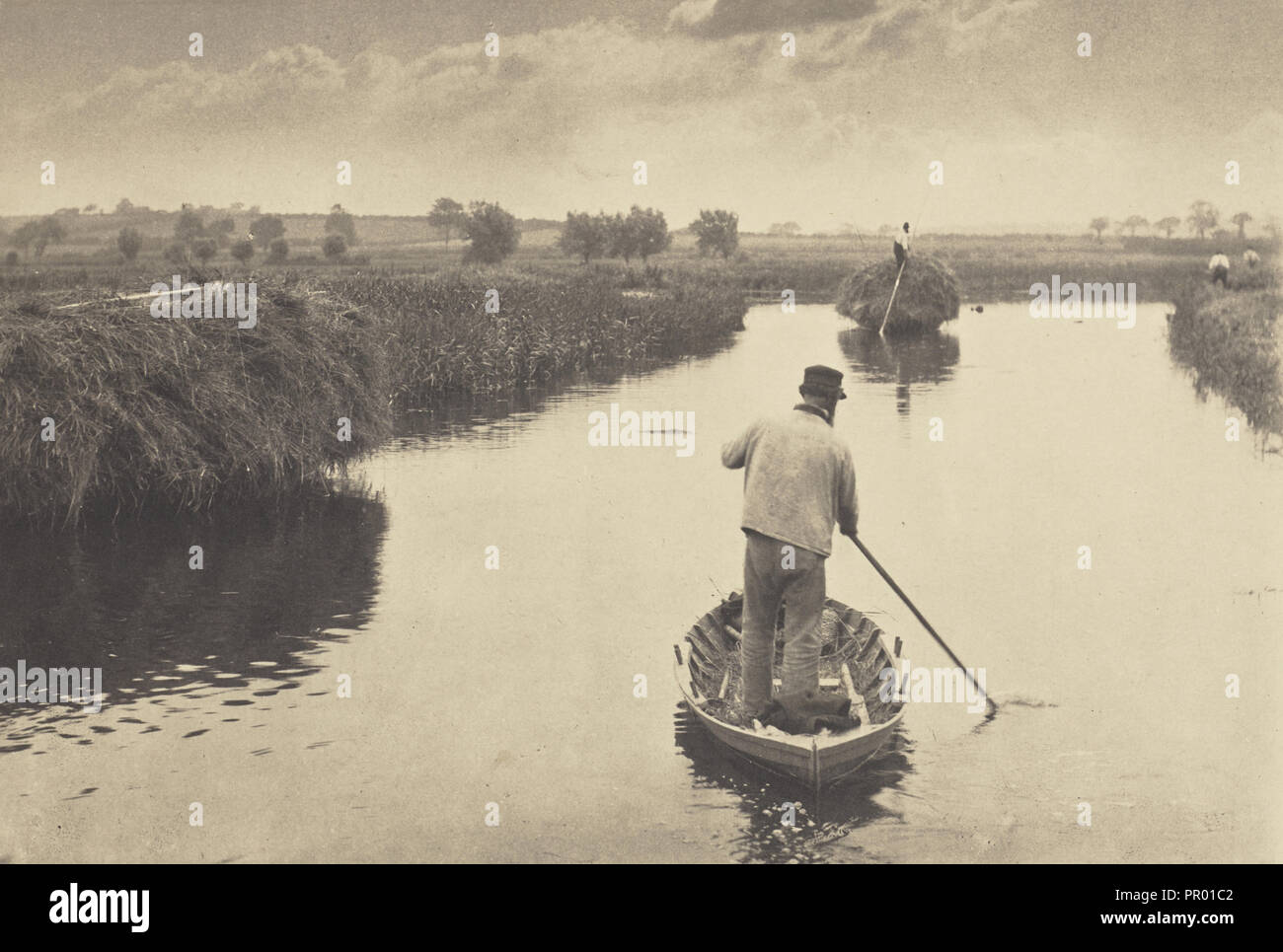 Quanting der Sumpf Heu; Peter Henry Emerson, Britischen, geboren in Kuba, 1856 - 1936, London, England; 1886; Platin; Drucken 15,7 x 23. Stockfoto