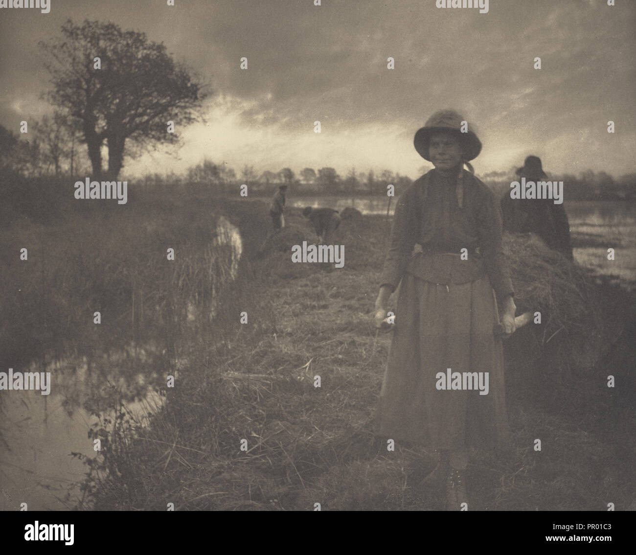 Polung der Sumpf Heu; Peter Henry Emerson, Britischen, geboren in Kuba, 1856 - 1936, London, England; 1886; Platin; Drucken 23,3 x 28,7 Stockfoto