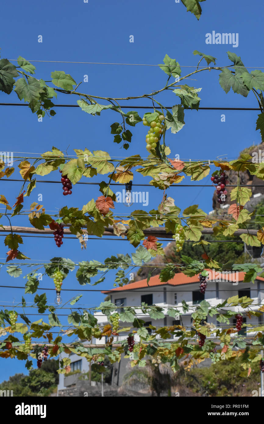 Ernte vine Festival in der Stadt Stockfoto