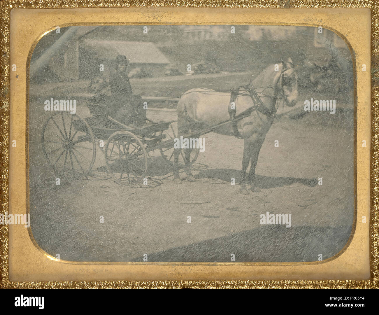 Pferd und Wagen mit Fahrer auf Sitz mit Hund; Amerikanische; ca. 1850; Daguerreotypie Stockfoto
