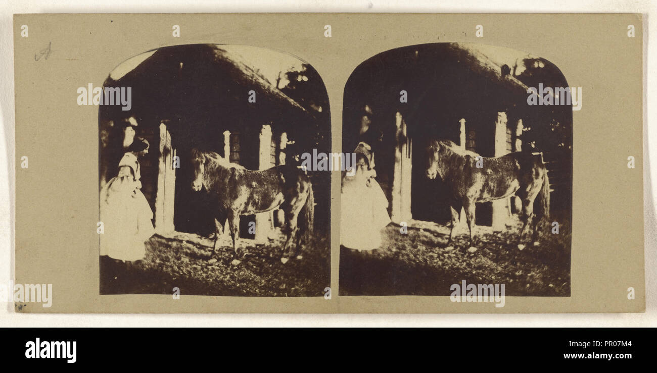 Frau und Pony in der Nähe von stabil; Briten; 1860; Eiklar silber Drucken Stockfoto