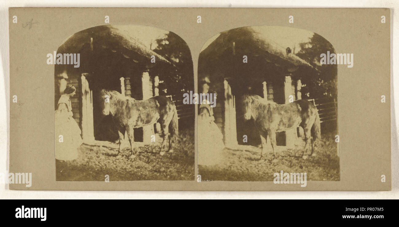 Frau und Pony in der Nähe von stabil; Briten; 1860; Eiklar silber Drucken Stockfoto