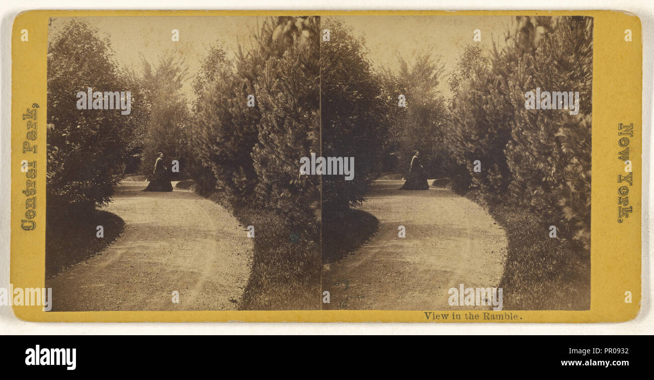 Ansicht in der Ramble. Central Park, New York; Amerikanische; ca. 1865; Eiklar silber Drucken Stockfoto